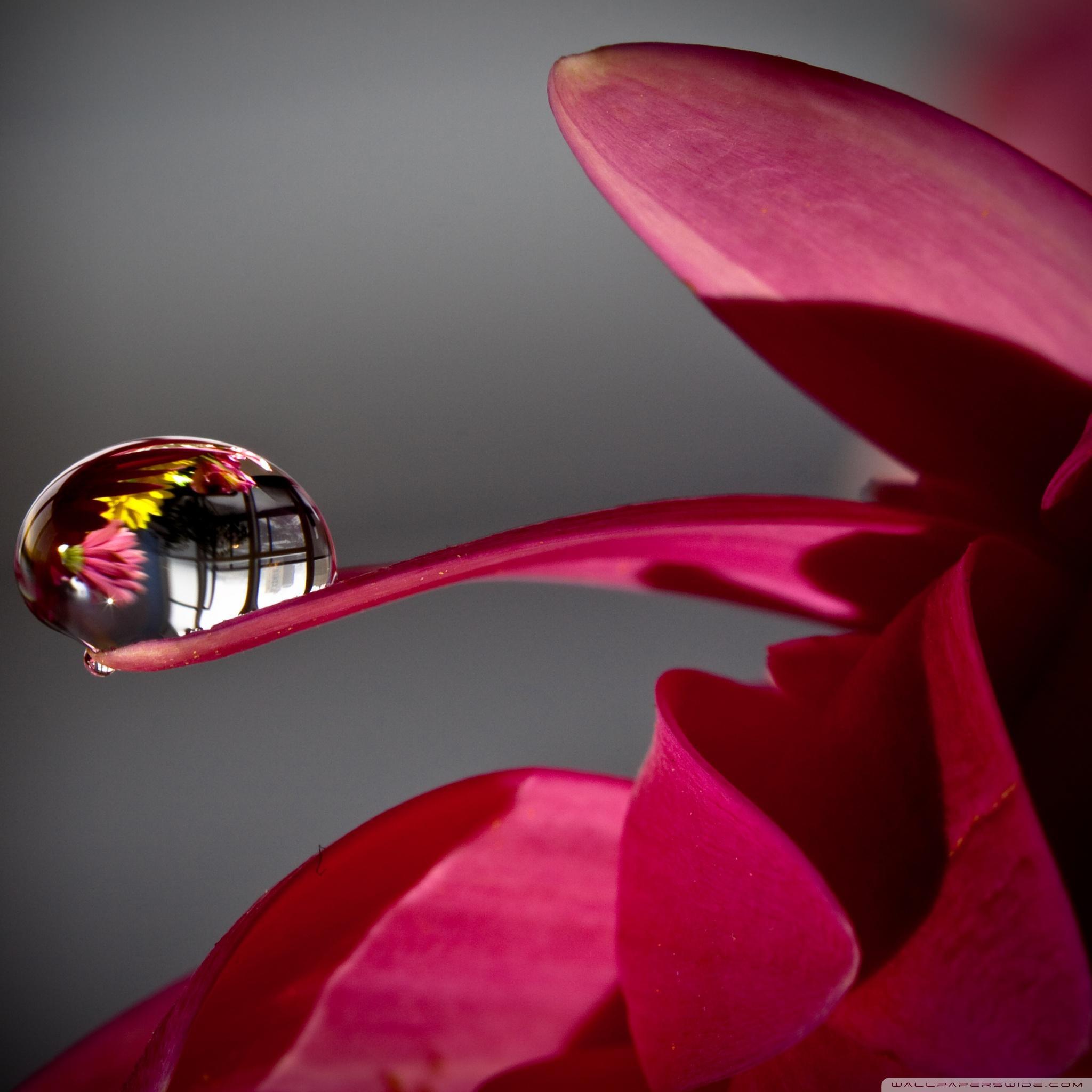 Z Wallpaper New iPad 3 And 4 Apple Awesome 63 x 2048