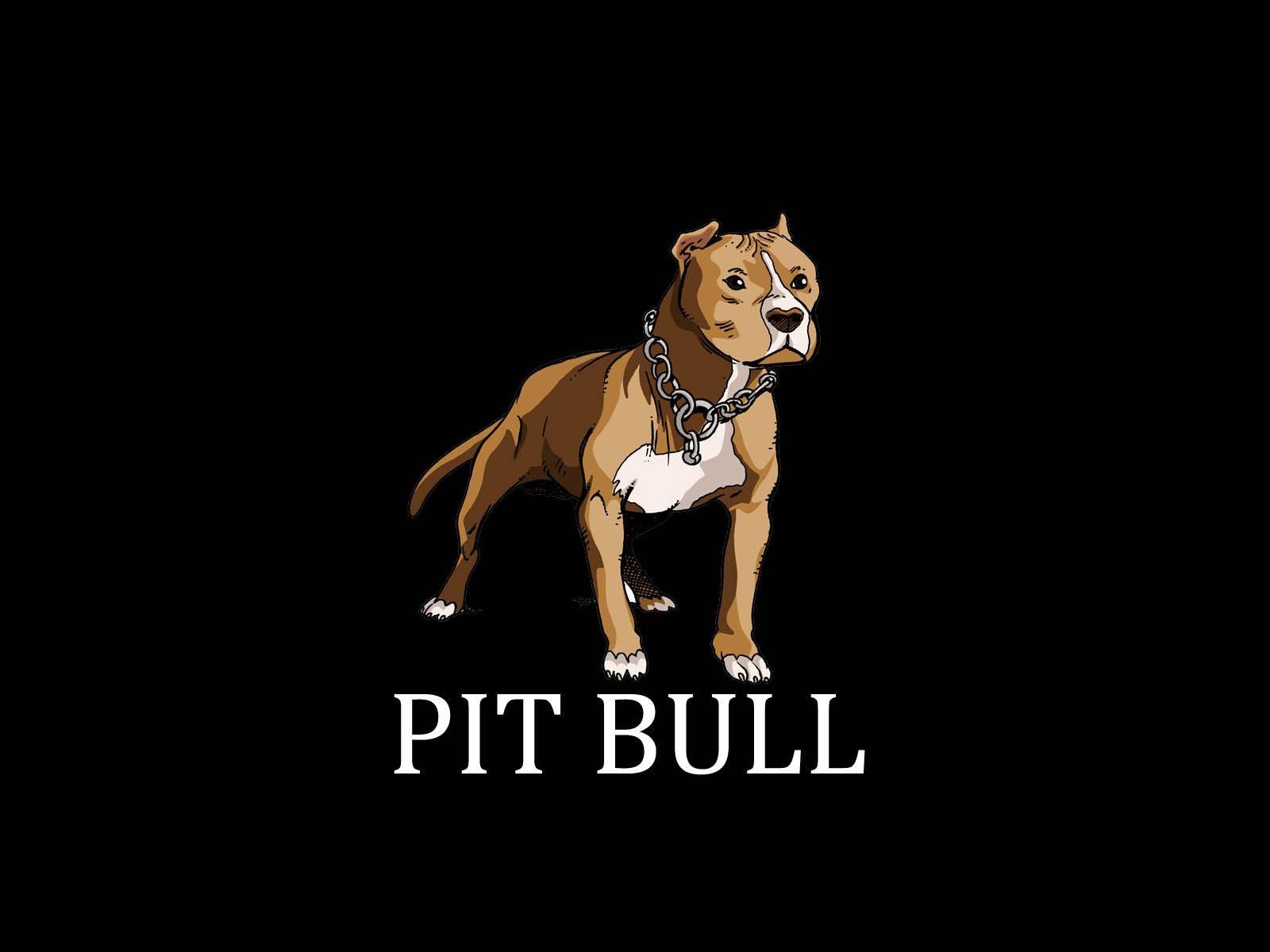 Pitbull Germany Wallpapers Wallpaper Cave
