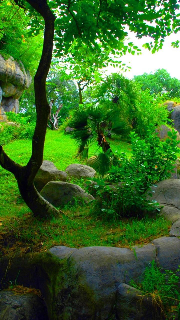 Natural green wallpaper