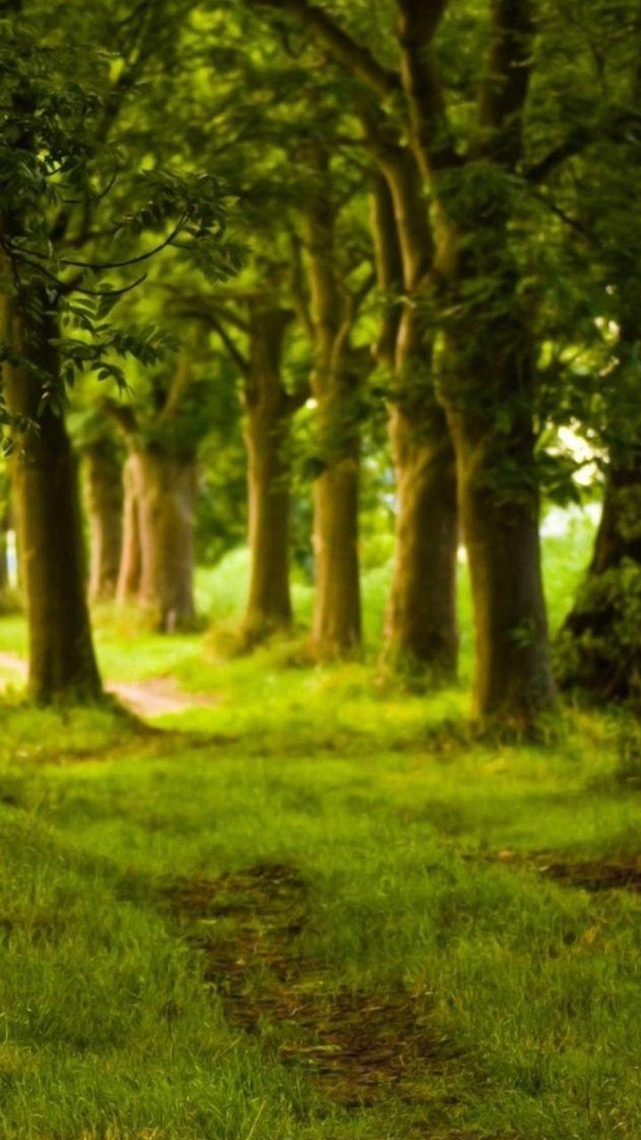 HD 720x1280 Wallpaper Img 20