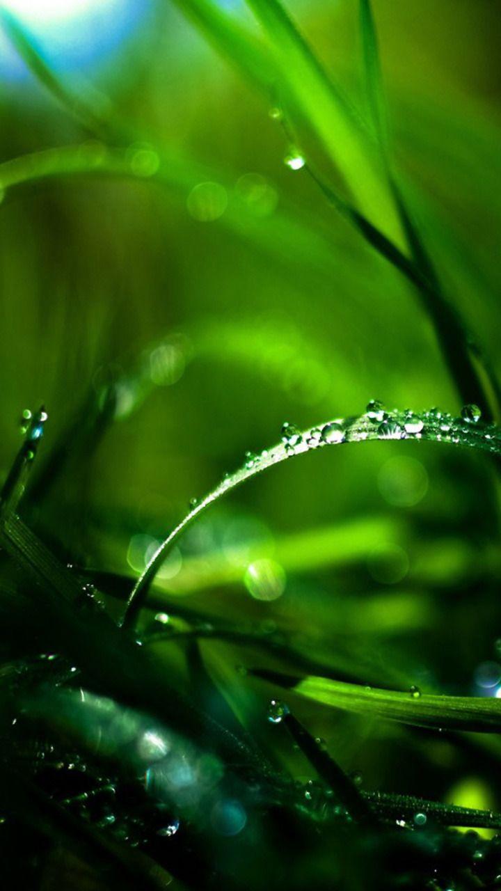 Mobile Wallpaper 720x1280. (33++ Wallpaper)