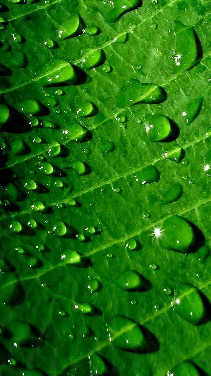 ☄ #Mobile_Wallpaper ☄ #Phone_Backgroundx1280