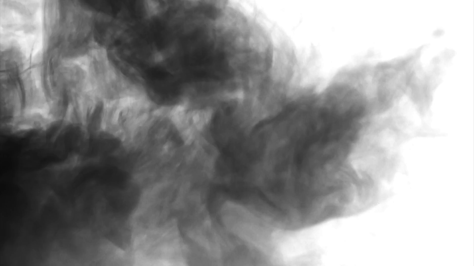 Black cloud smoke / ink on water on white background Stock Video