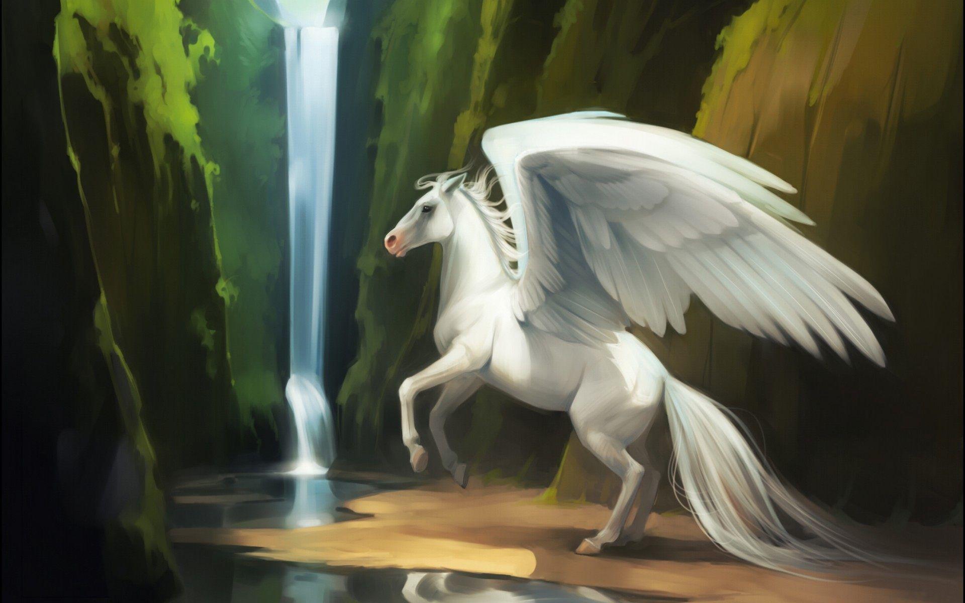 Pegasos Wallpapers Wallpaper Cave