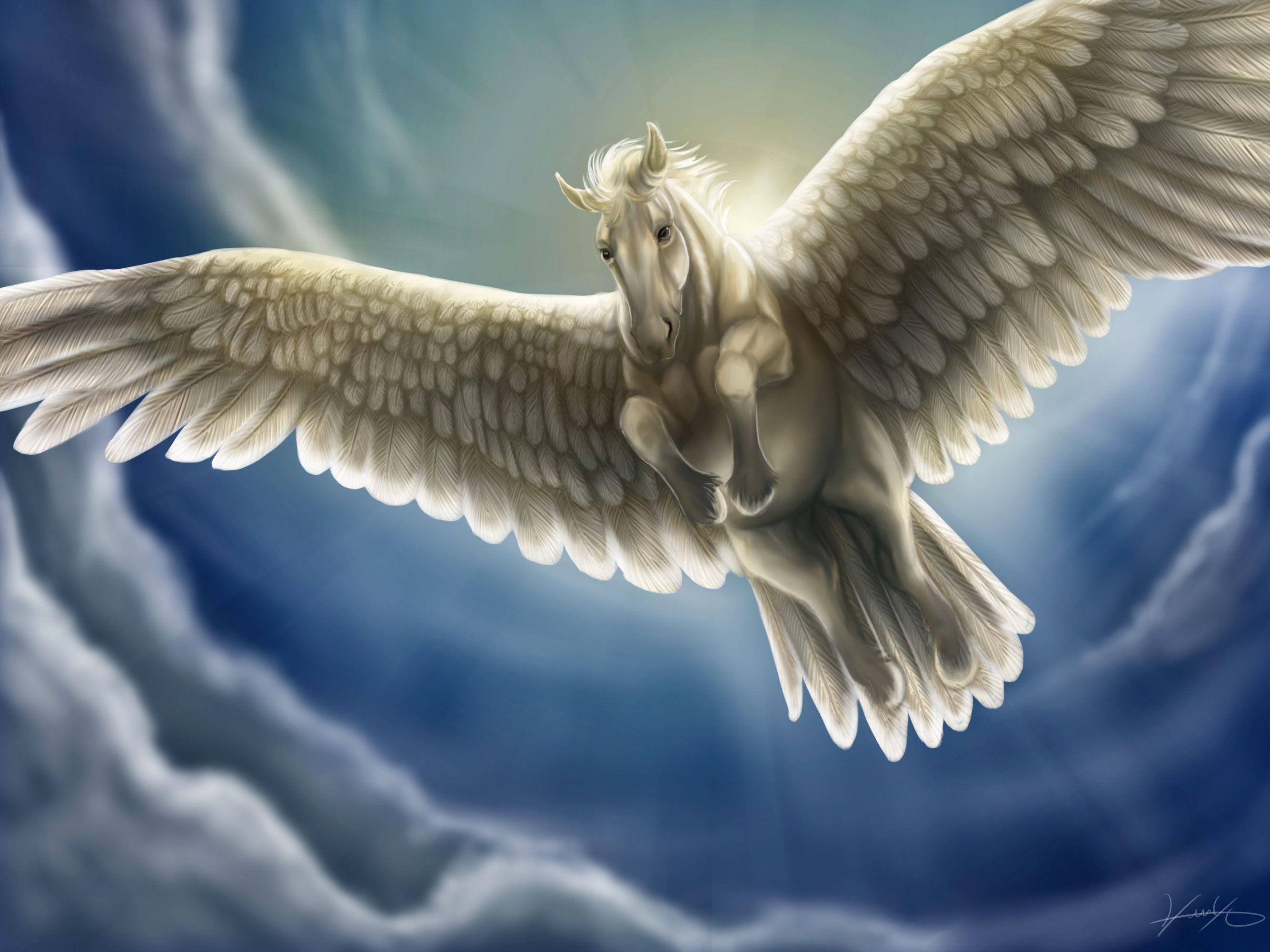 Pegasus HD Wallpaper and Background Image