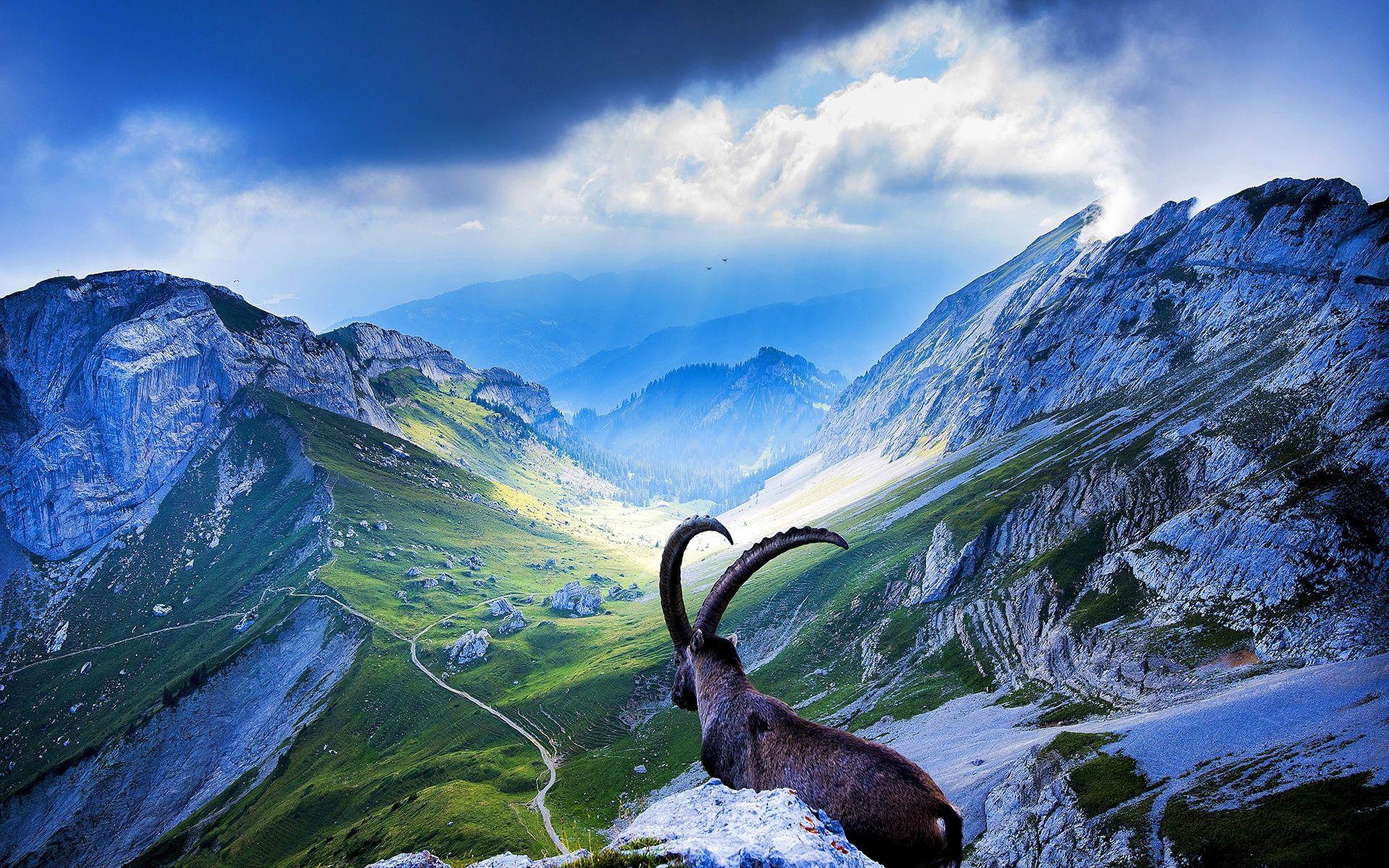 The wallpaper of Switzerland all in HD