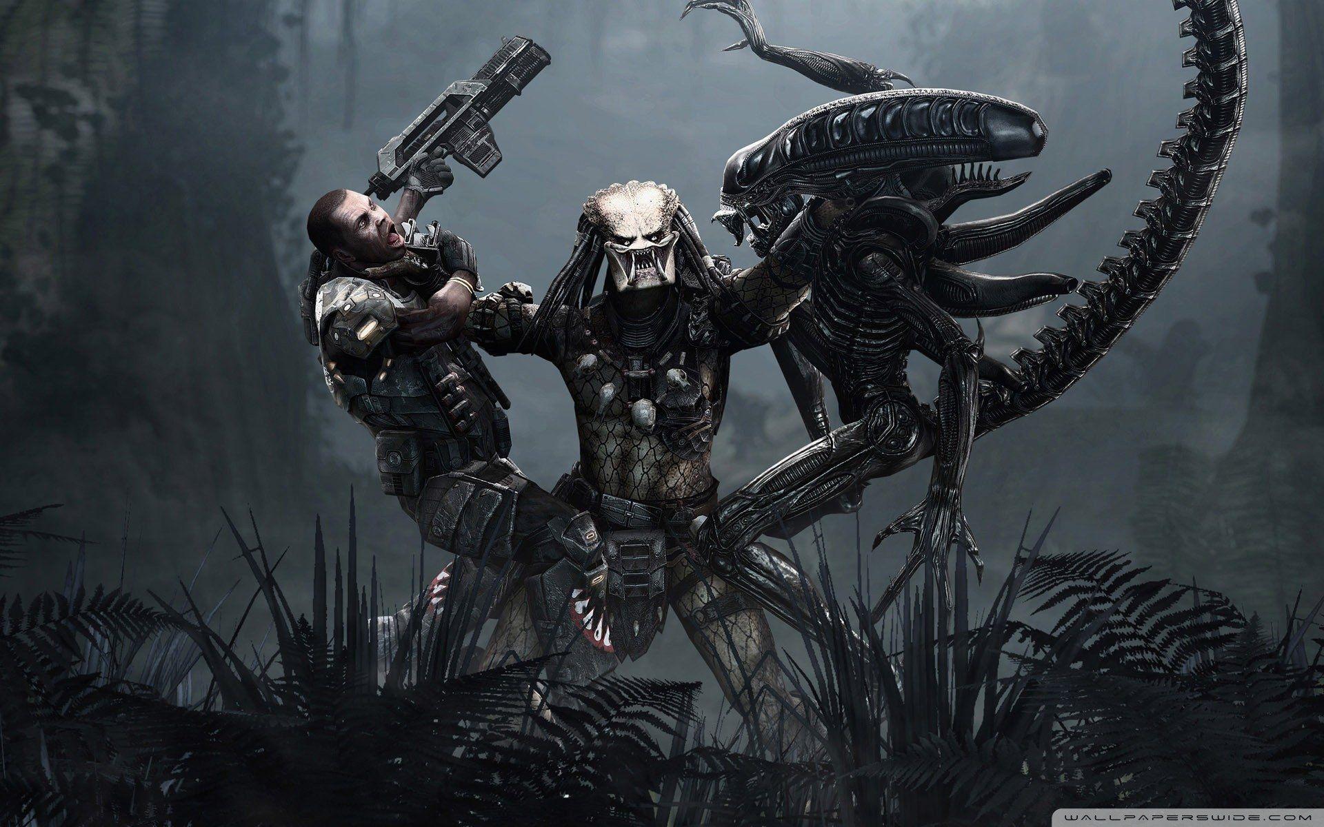 Alien Vs Predator 551143