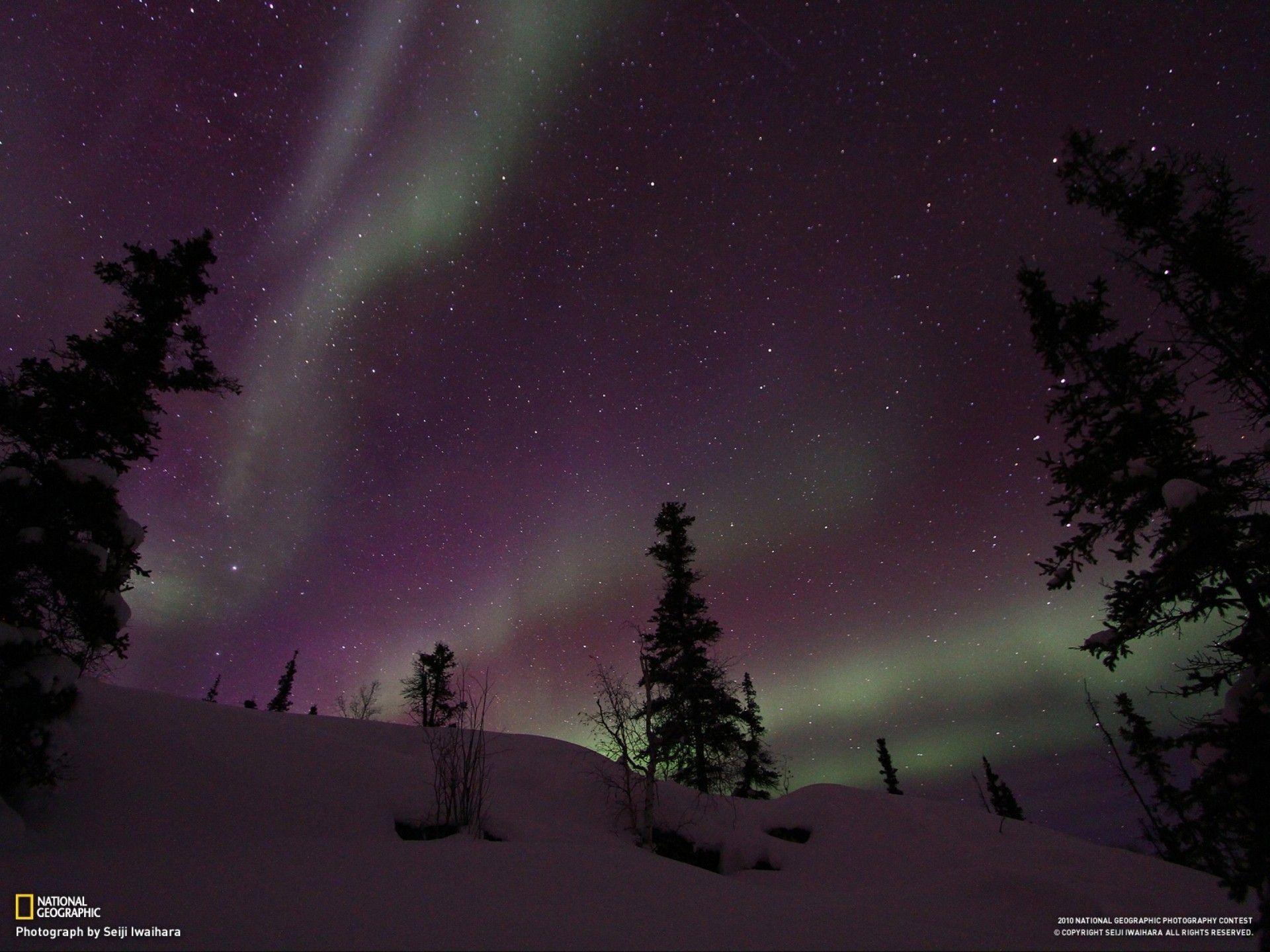 Landscapes nature snow trees aurora borealis national geographic