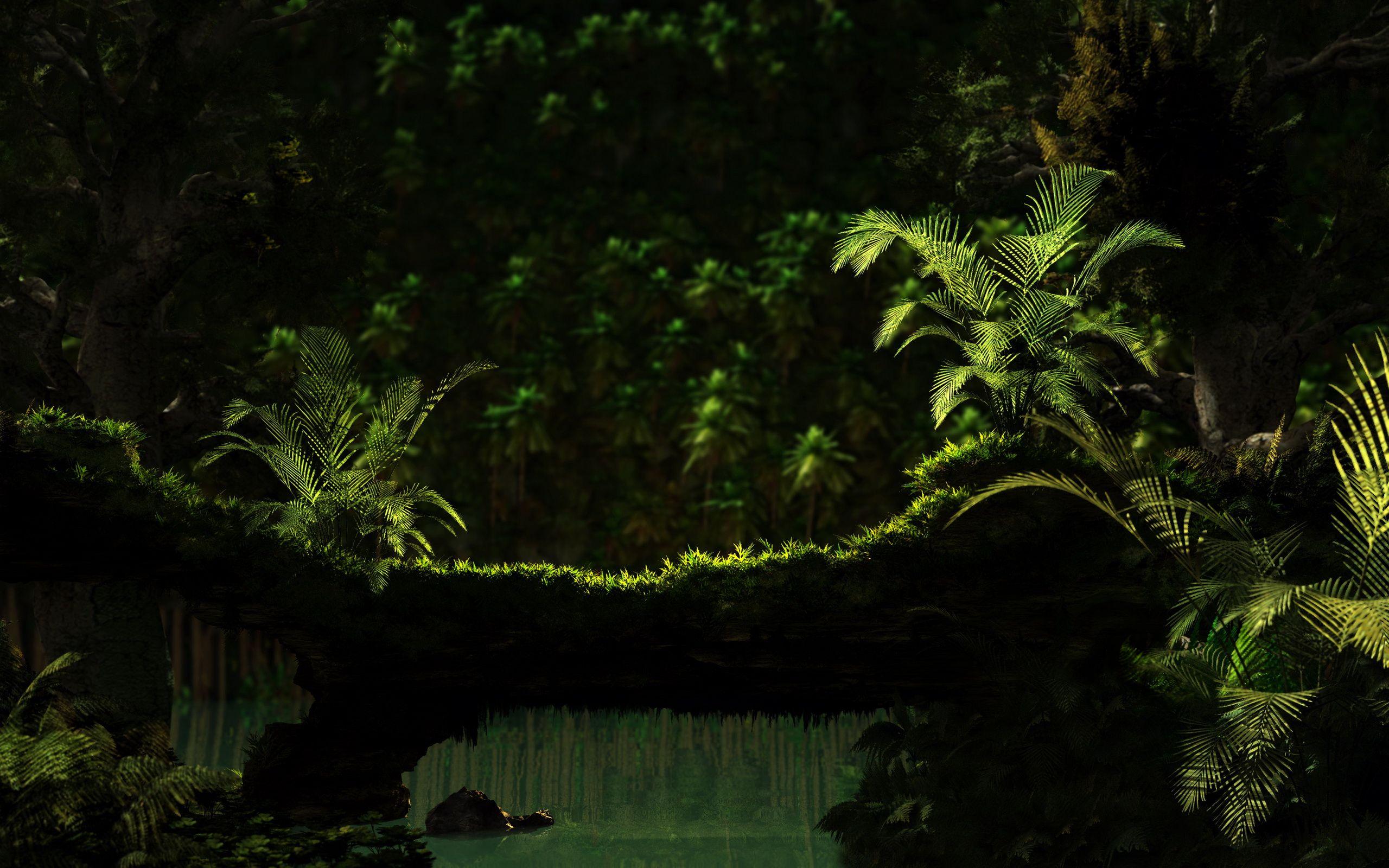 HD Jungle Desktop Background