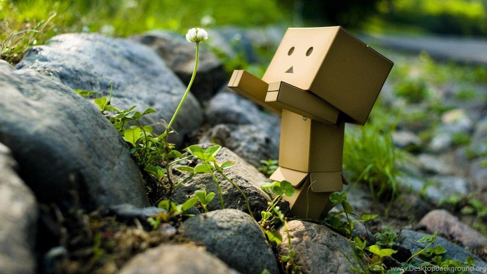 Domo HD Best Wallpaper Build By Paper Desktop Background