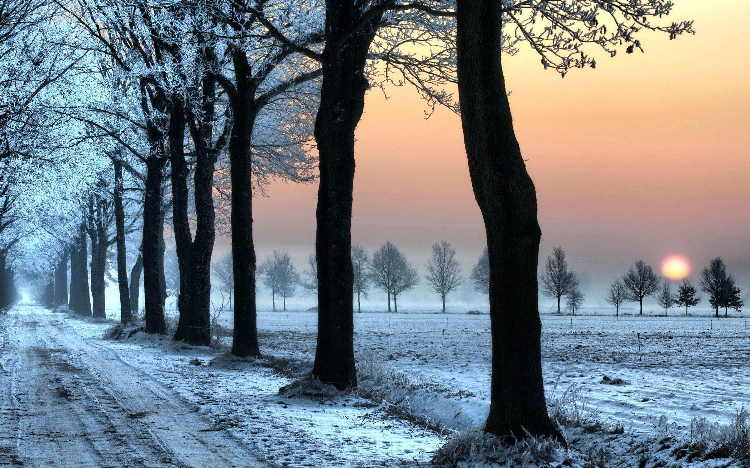 Lonely, Snowy, Road, Cool Nature Wallpaper, Amazing Landscape