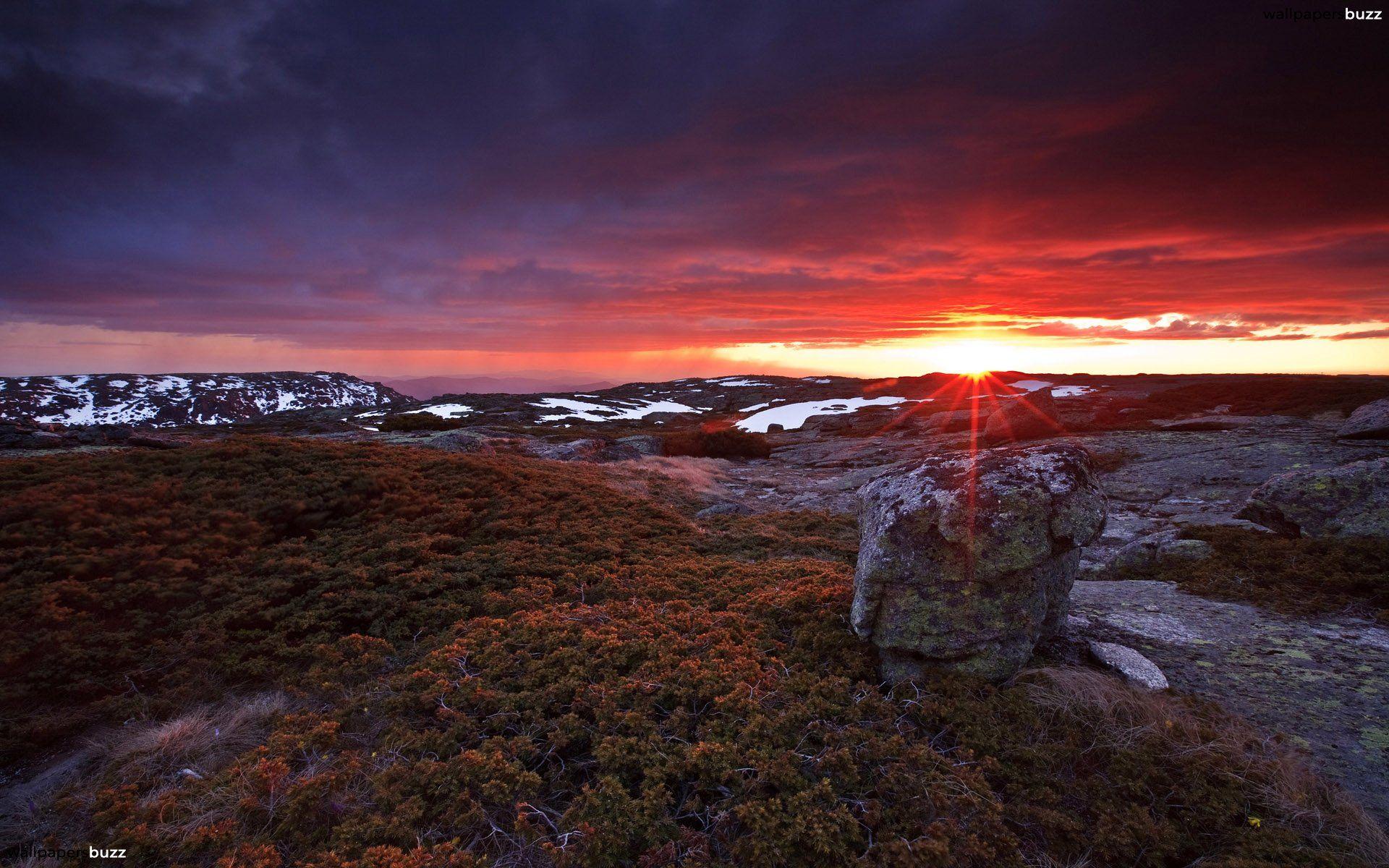 Wasteland HD Wallpaper