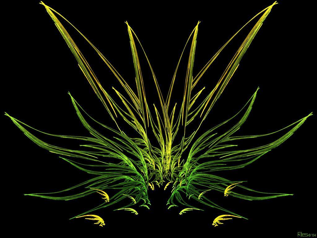 Fractal Weed