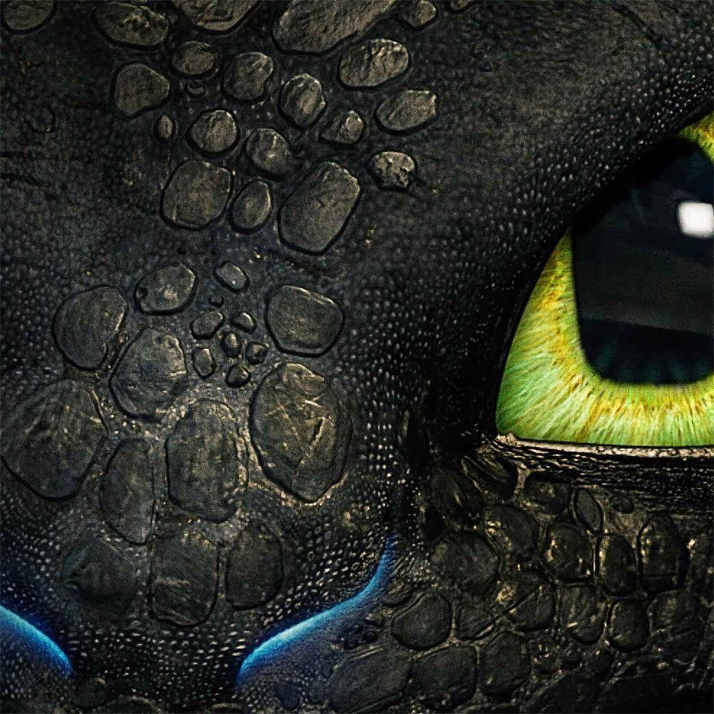 How To Train your Dragon - How To Train Your Dragon 2 new