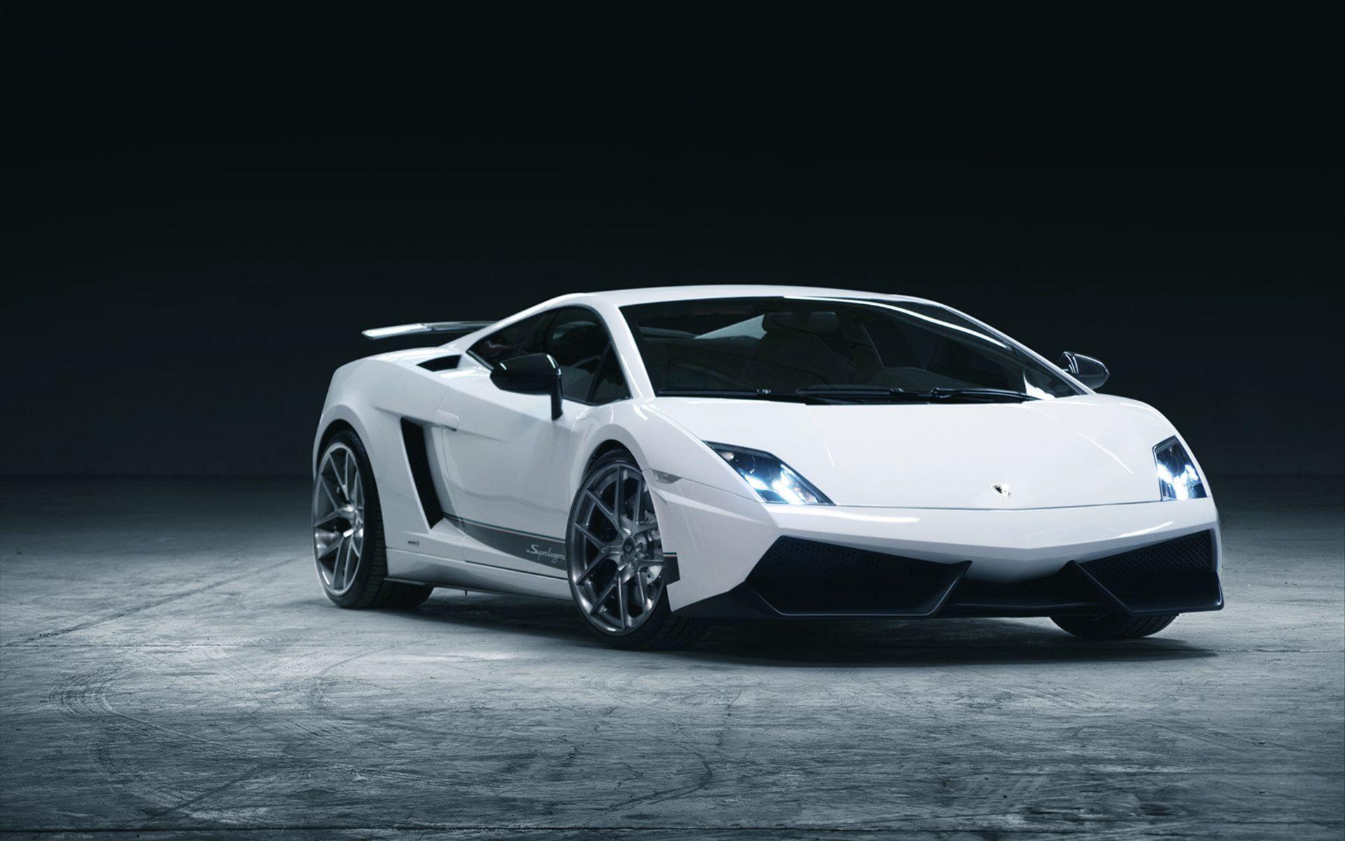 Lamborghini Gallardo White Car Wallpaper Wallpaper