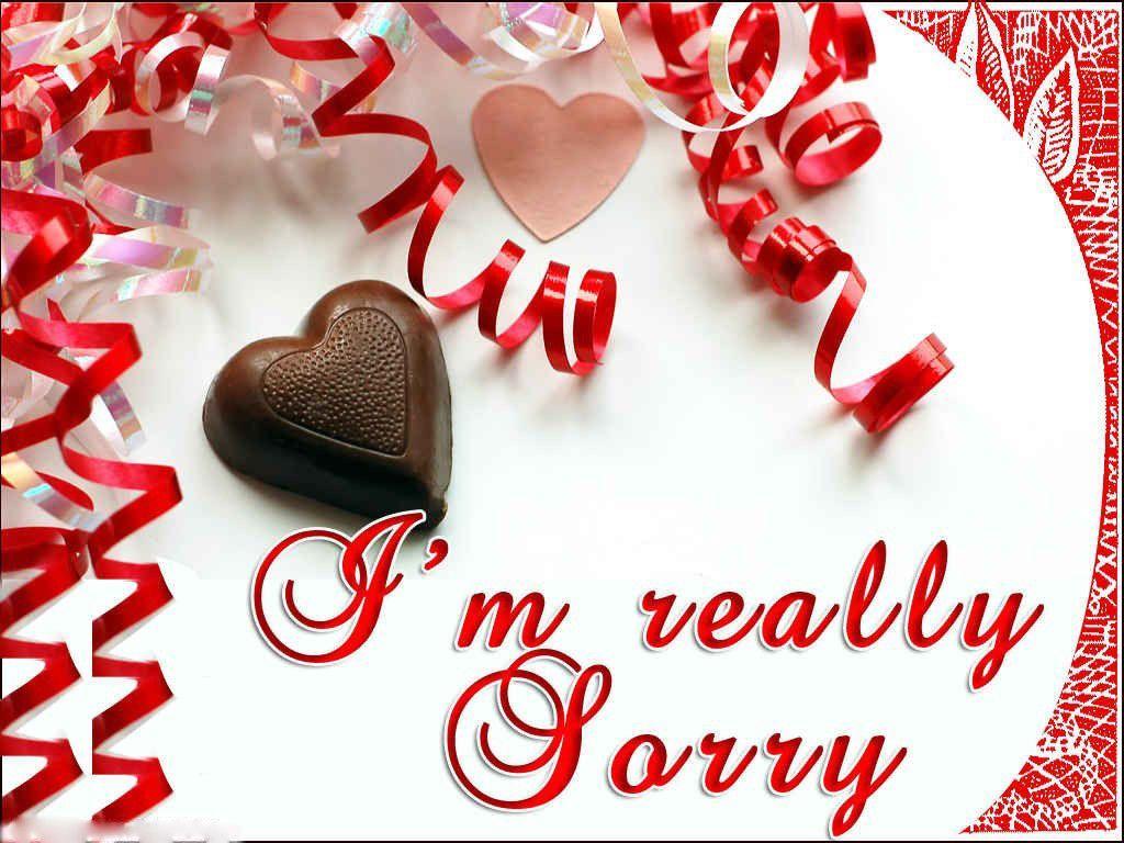 Sorry and Im sorry quotes with wallpaper 1024×768 Sorry Image