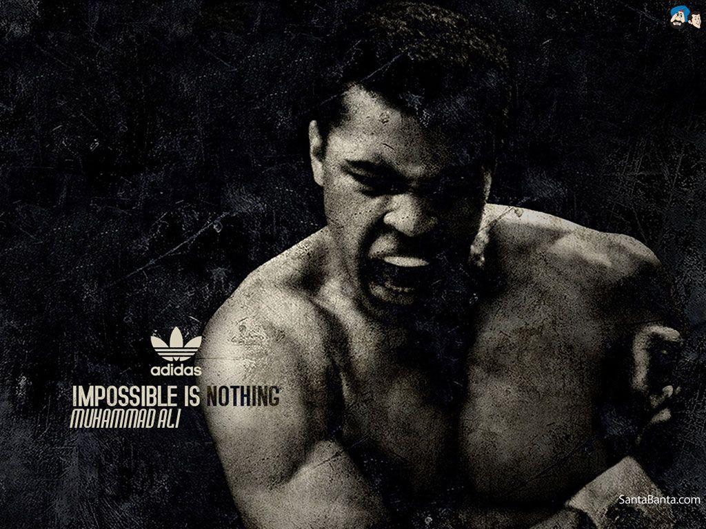 Ali Boxing HD Wallpaper, Background Image