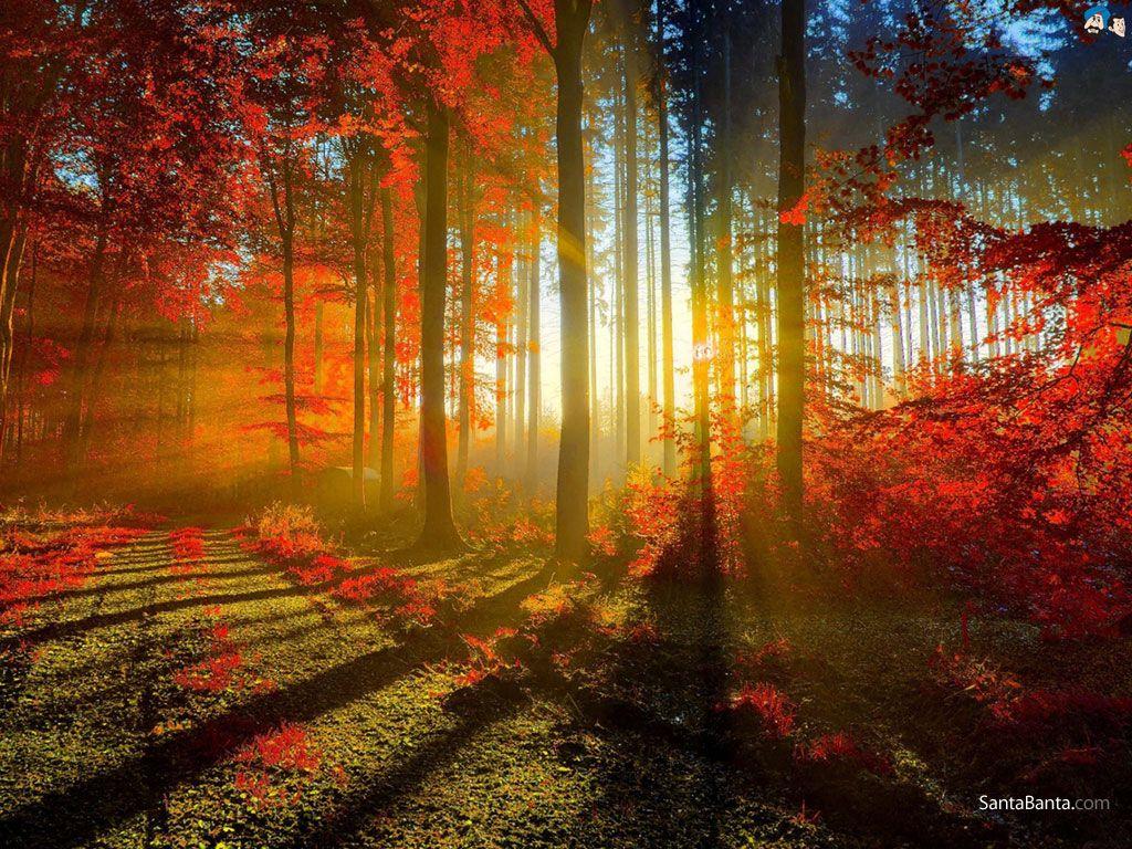 Landscapes Wallpaper