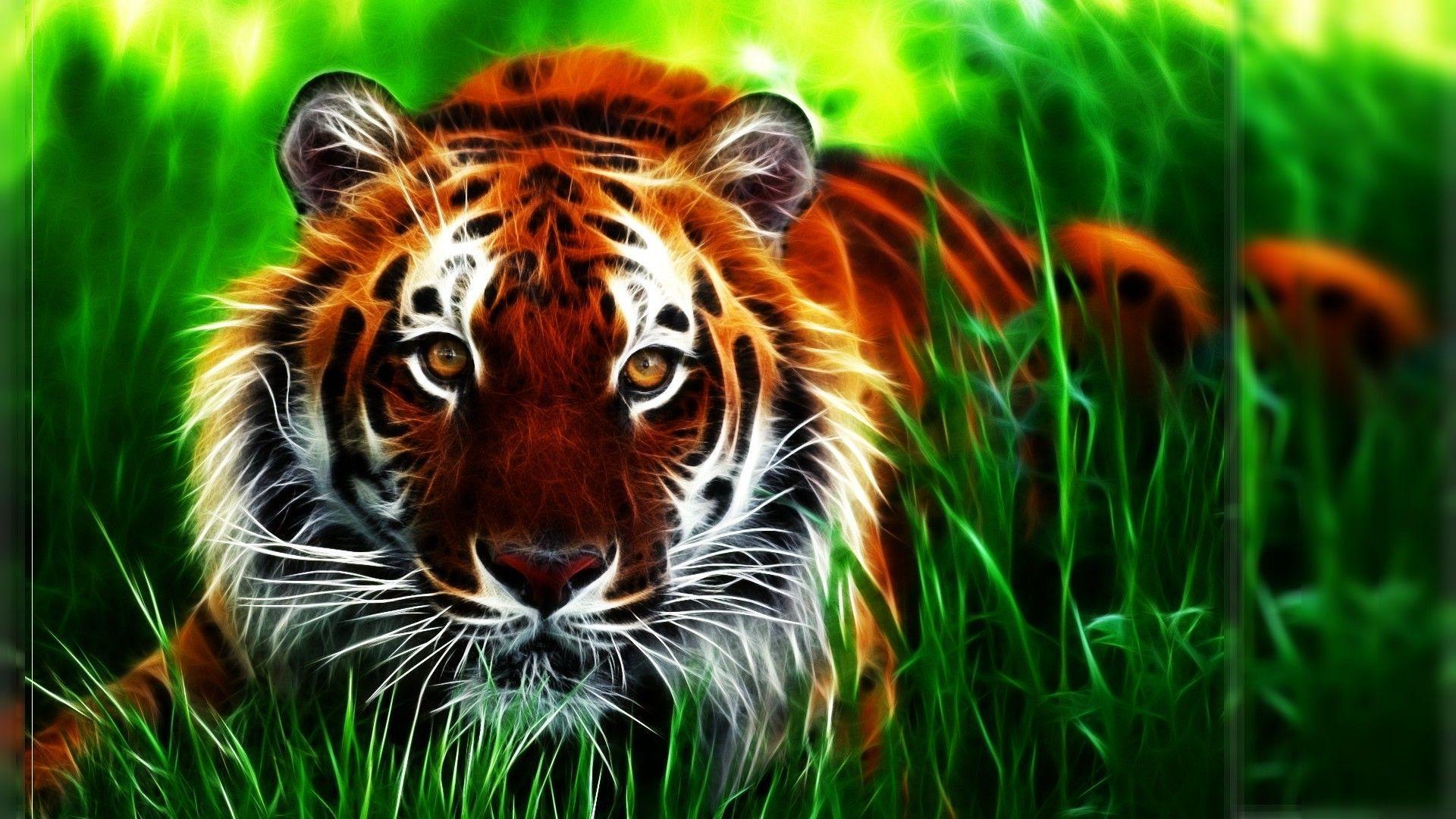 Tiger Picture 3D. Animals Wallpaper. Tiger wallpaper