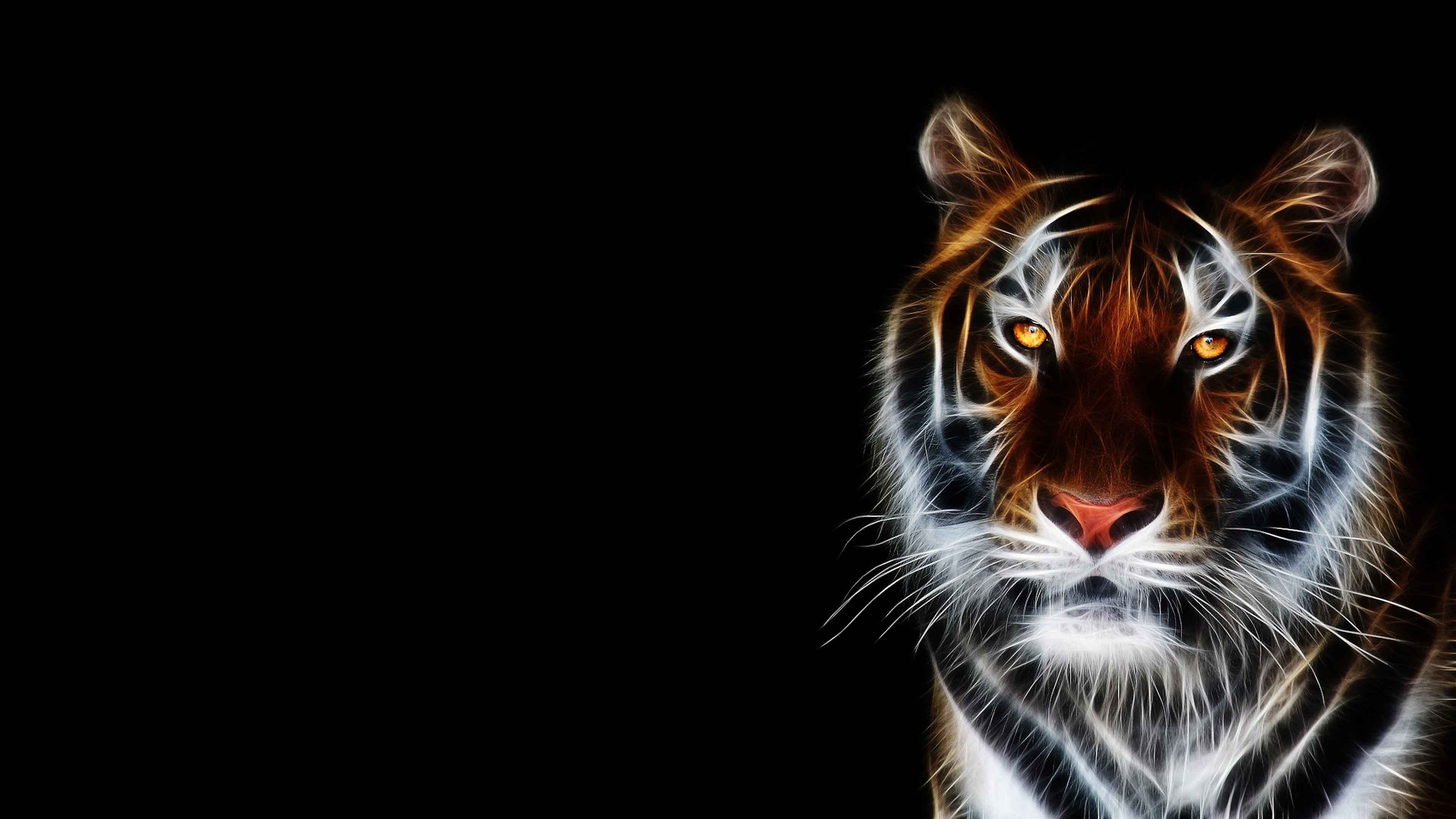 3D Tiger Wallpaper HD 22783