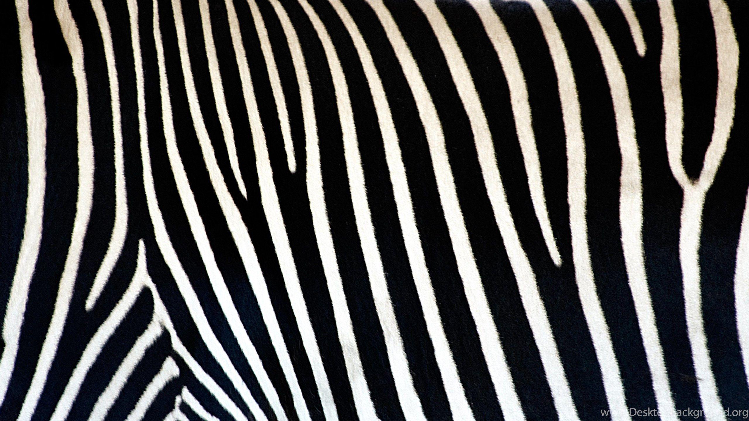 Zebra Print Wallpaper Peace Wallpaper Desktop Background