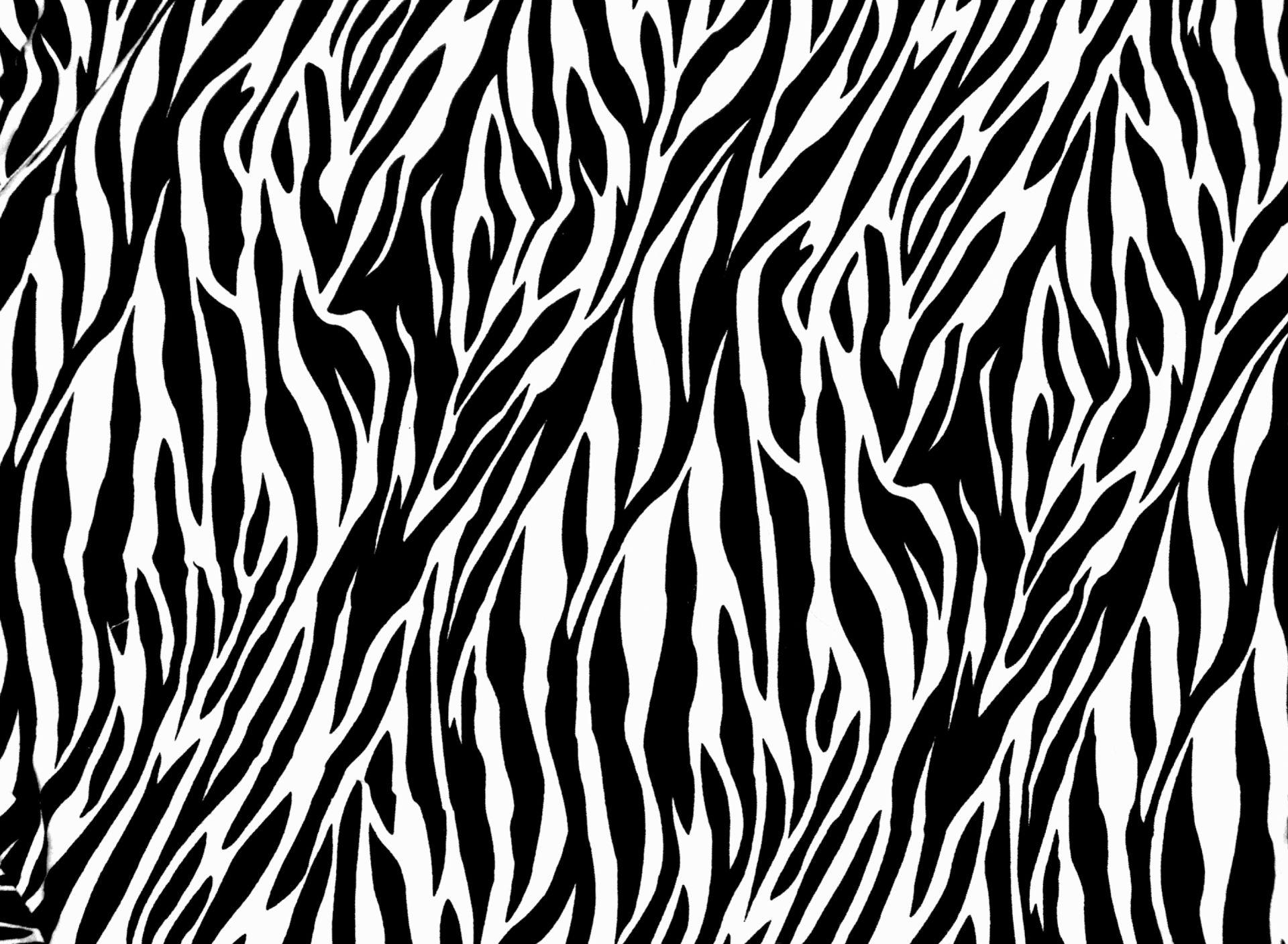 Wallpaper.wiki Zebra Print Wallpaper HD Free Download PIC WPE0043