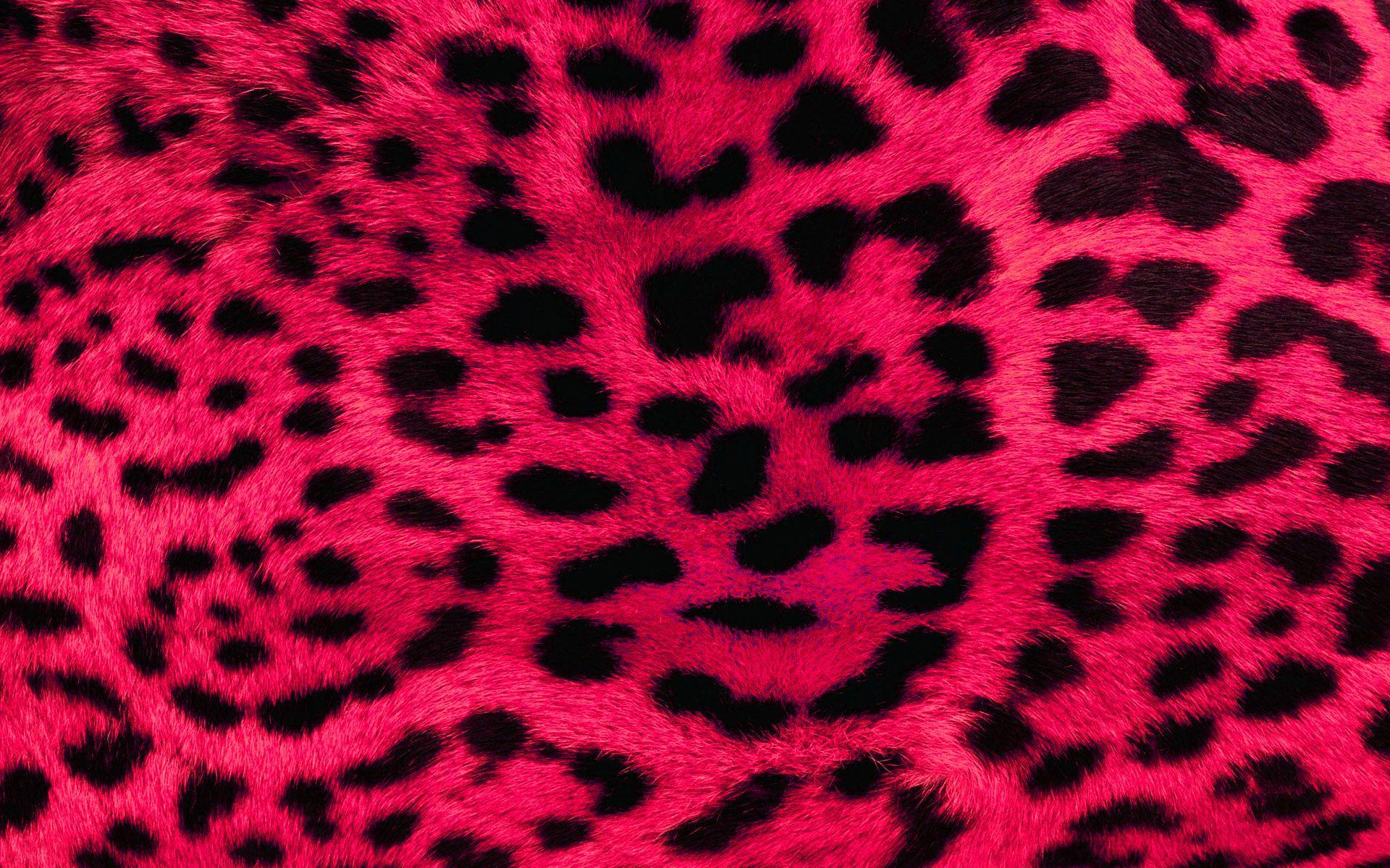 Cheetah Print Wallpaper Beautiful Zebra Print HD Wallpaper