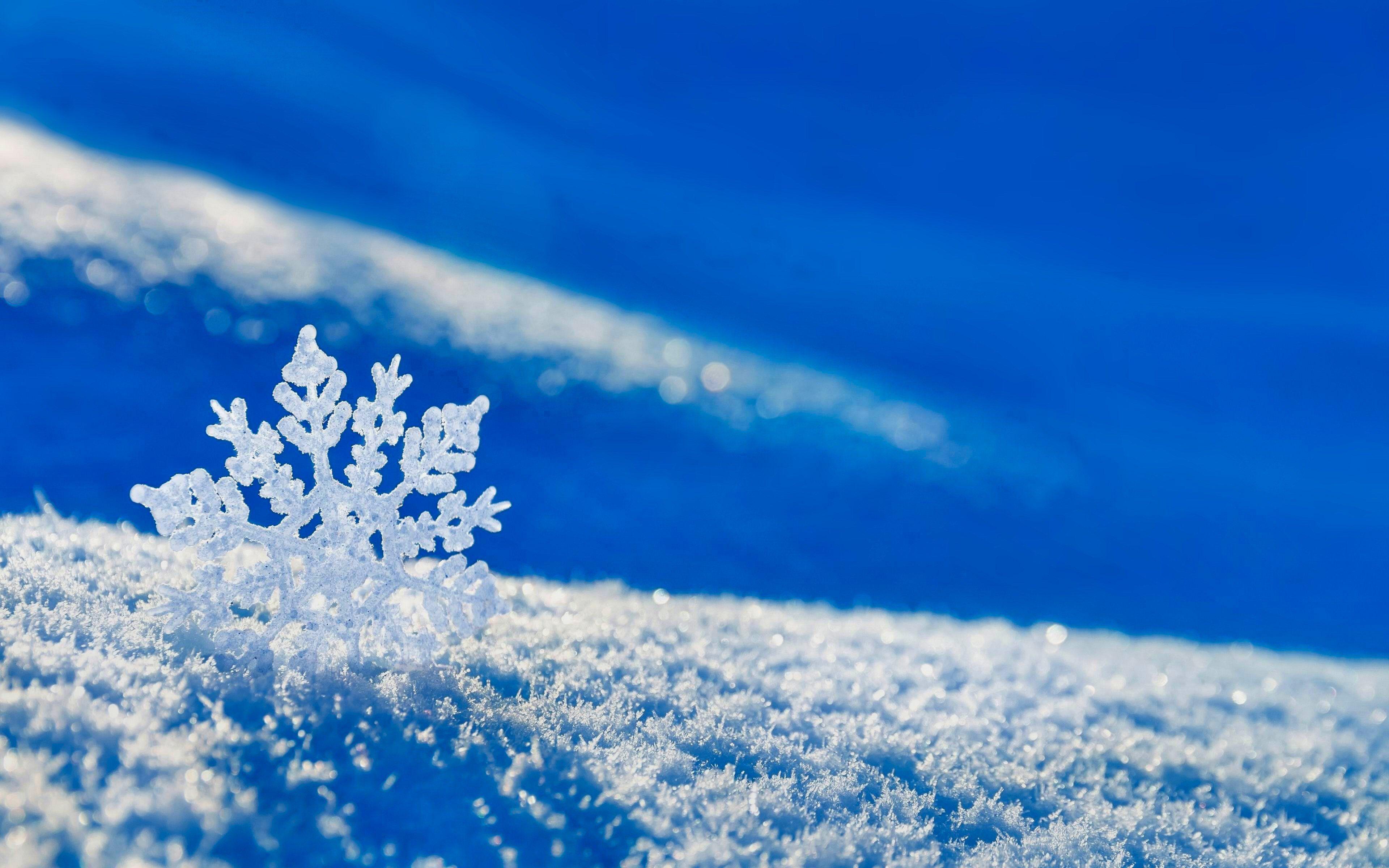 2628 Winter HD Wallpaper and Background Image