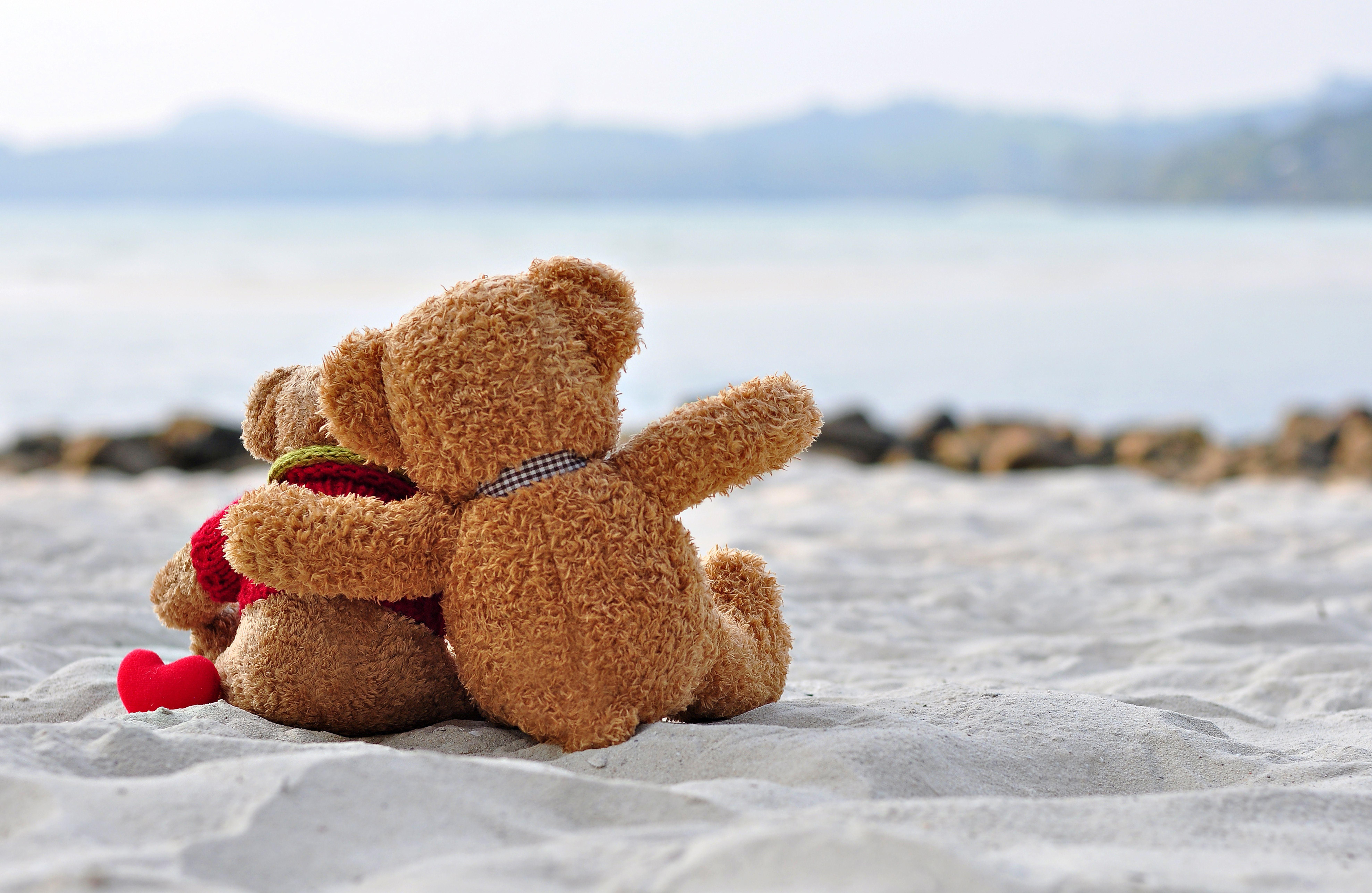 Teddy bears cuddling on the beach 8k Ultra HD Wallpaper
