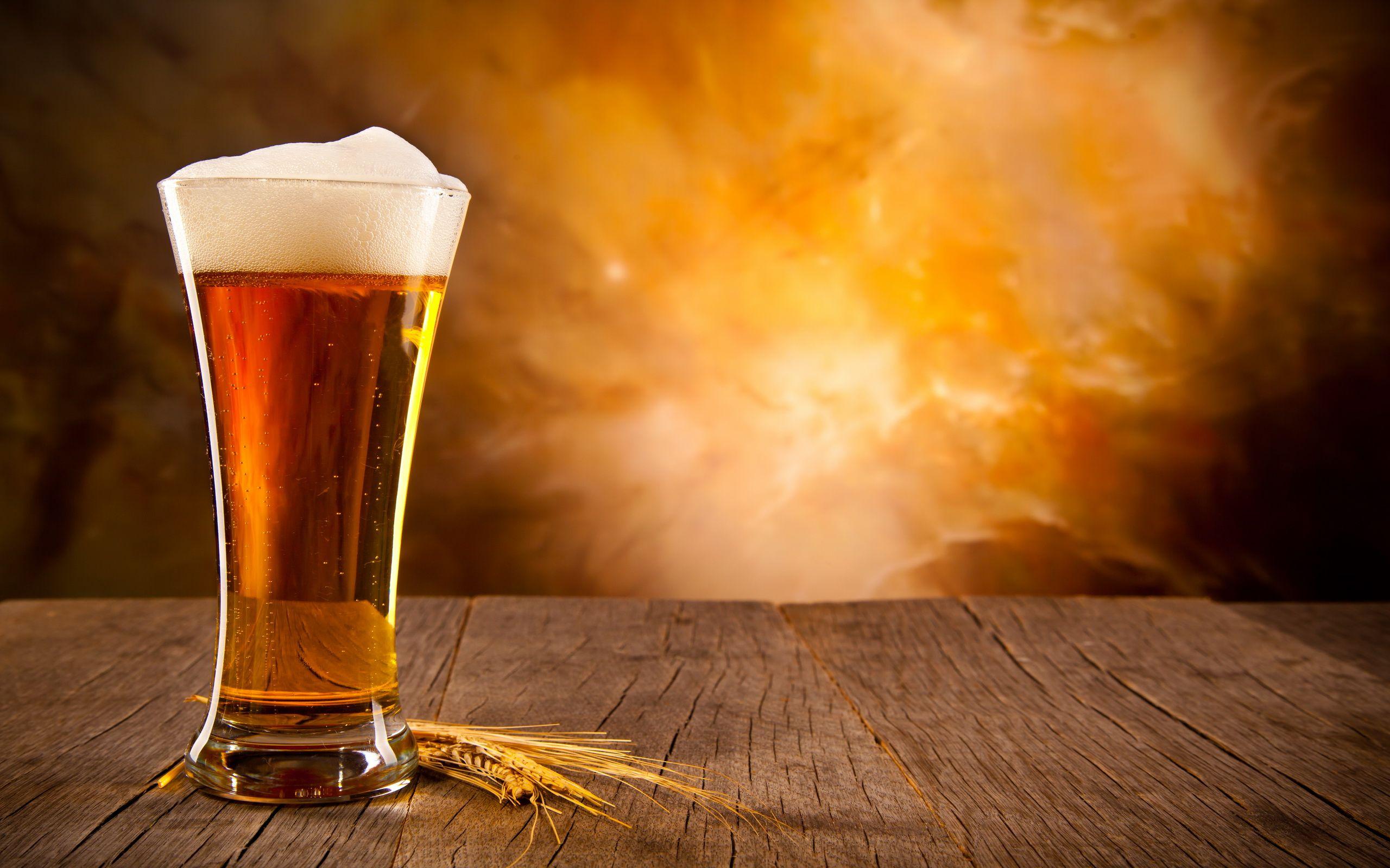 Beer Full HD Wallpaper and Background Imagex1600