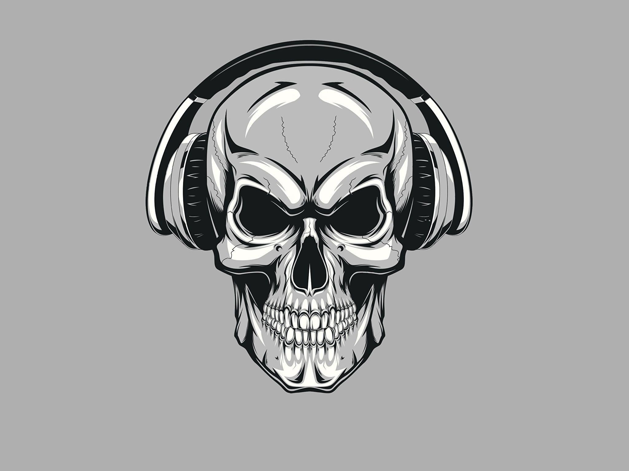 Picture Skulls Headphones Gray background 2048x1536