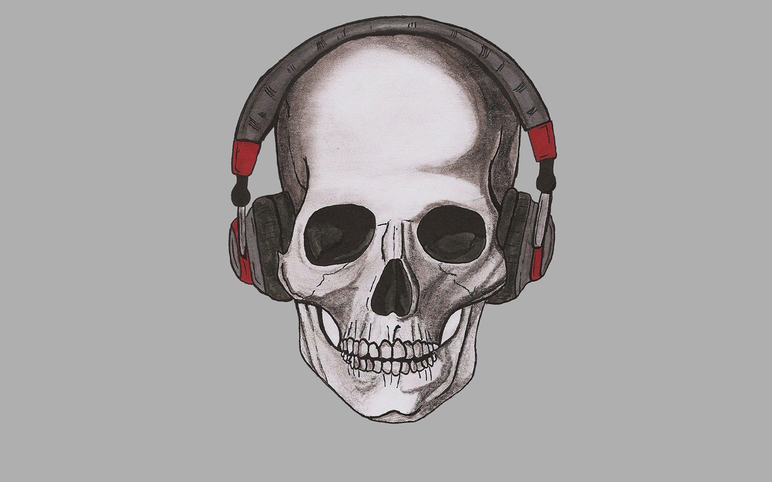 Photos Skulls Headphones Painting Art Gray background 2560x1600