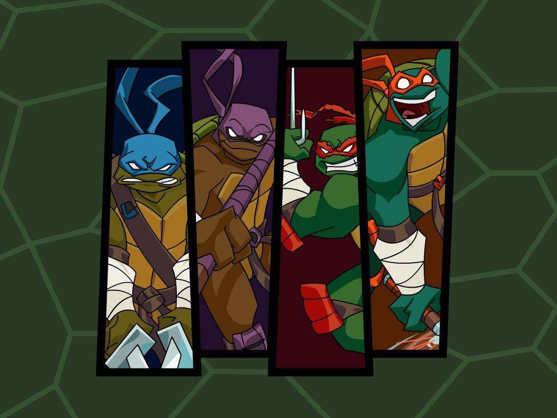 My TMNT tribute