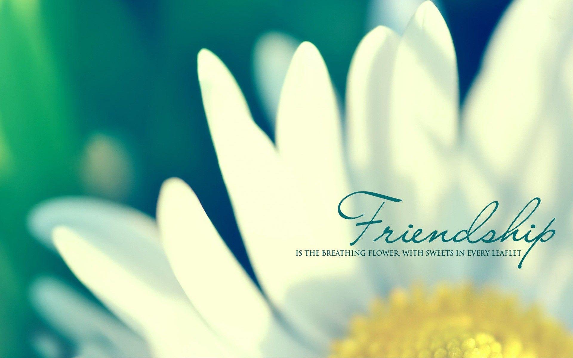 Friendship Wallpaper