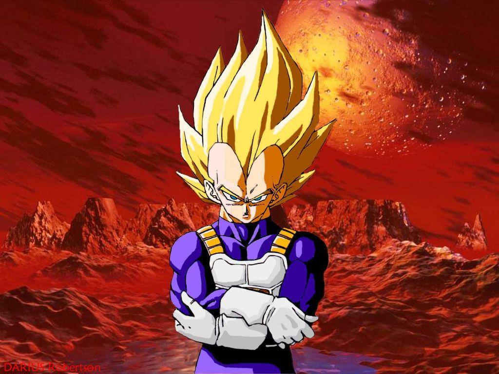 Vegeta Dragon Ball Z wallpaper wallpaper free download 1024x768