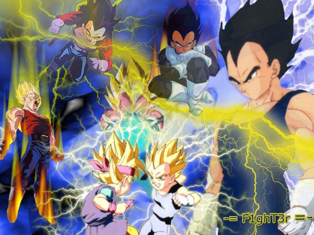 Dragon Ball Z Vegeta Wallpaper
