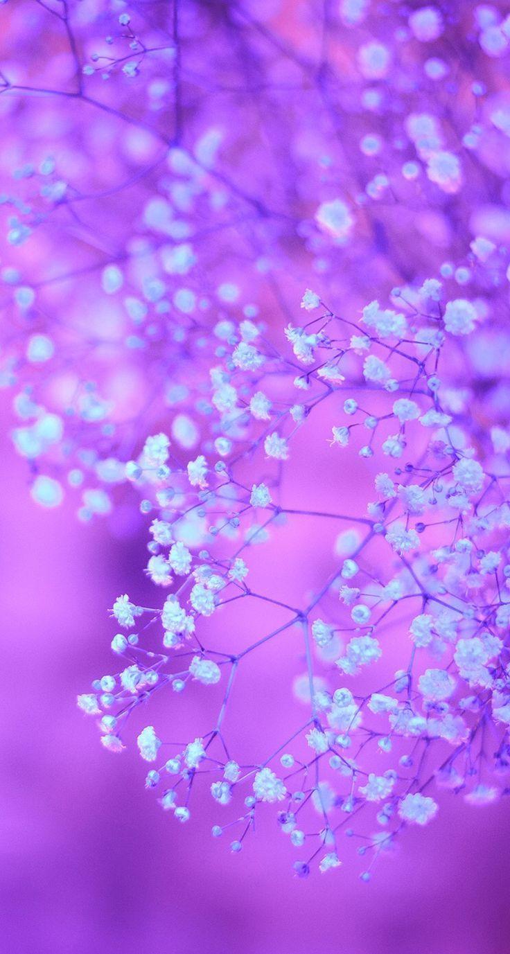 Purple Wallpaper For iPhone