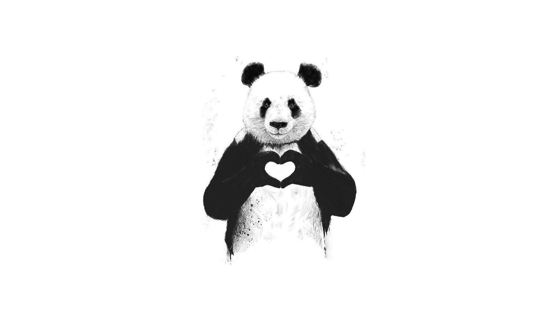 panda love heart animals milota minimalism animal HD wallpaper