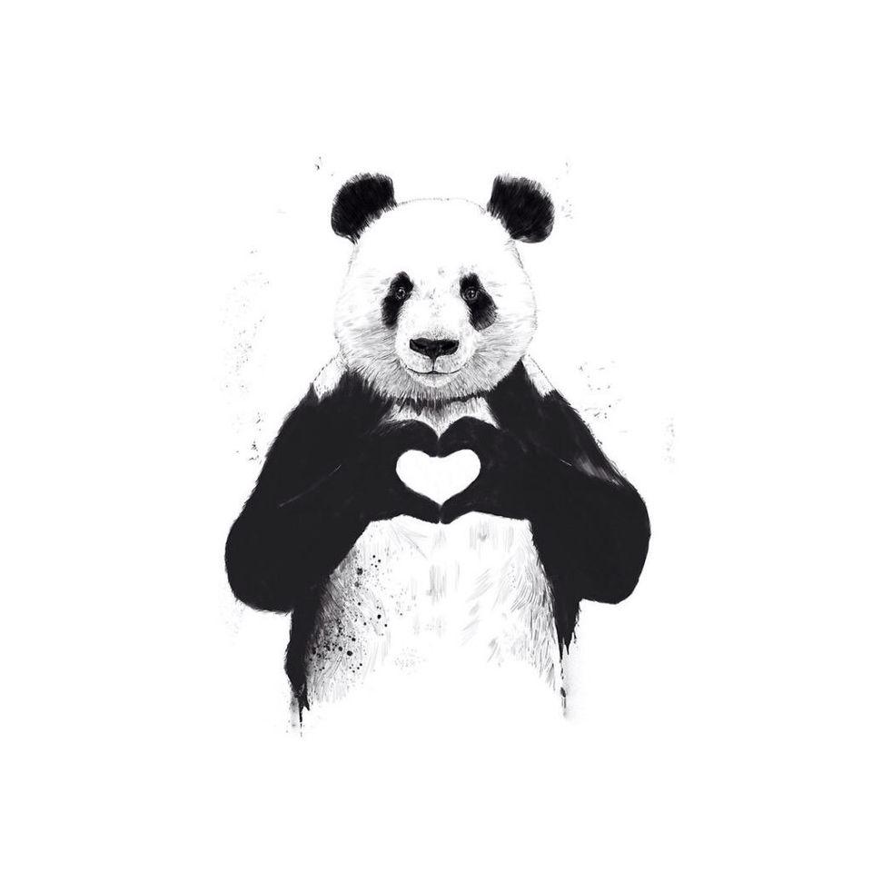 Panda Love wallpaper. wallpaper for your phone. Panda