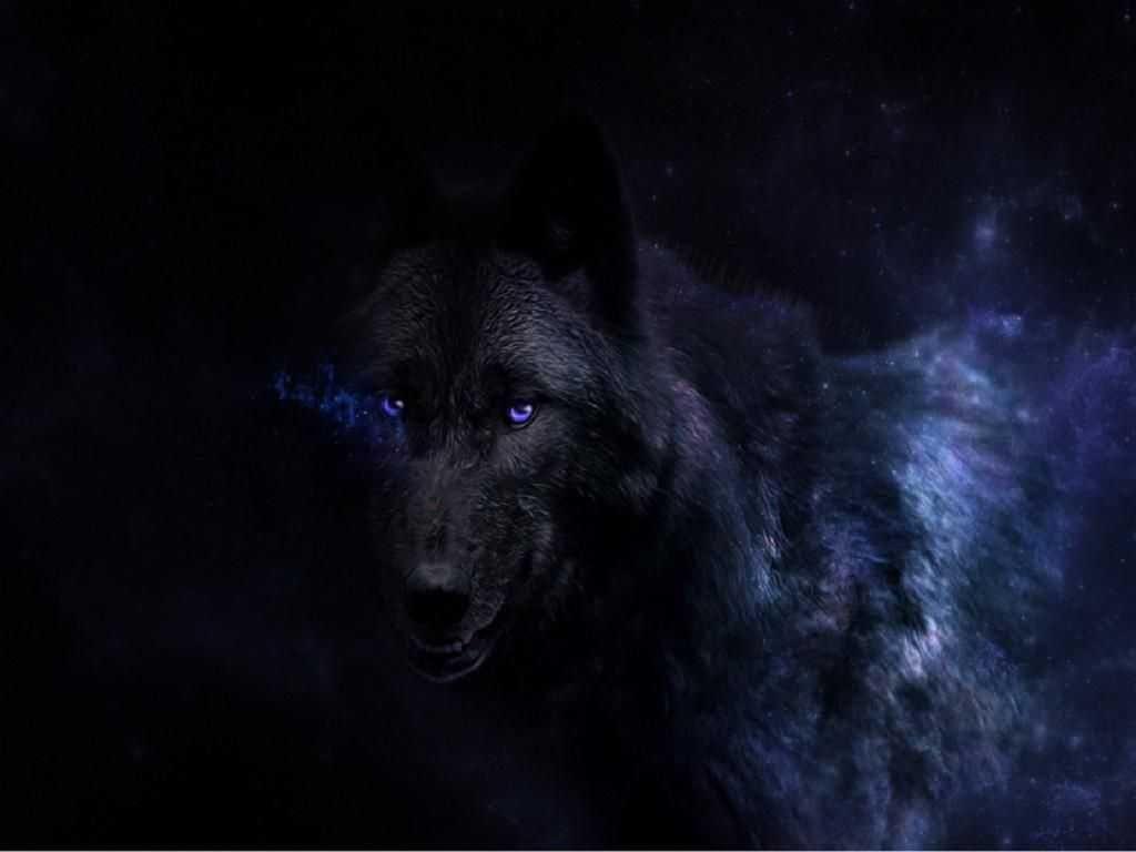 Black Wolf Wallpaper HD Full Image Result For Of Androids Waraqh