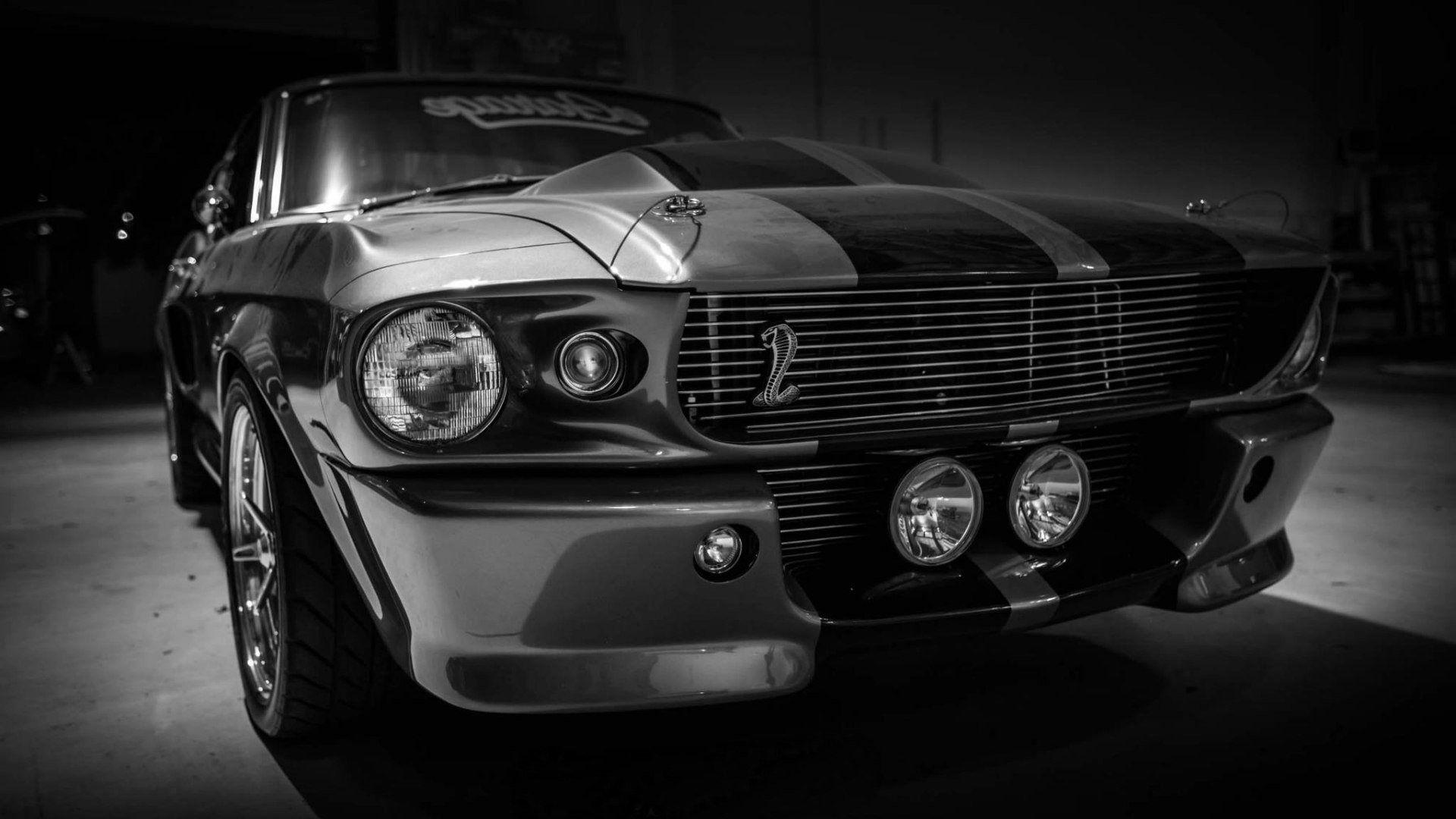 Shelby GT HD Cars, 4k Wallpaper, Image, Background, Photo