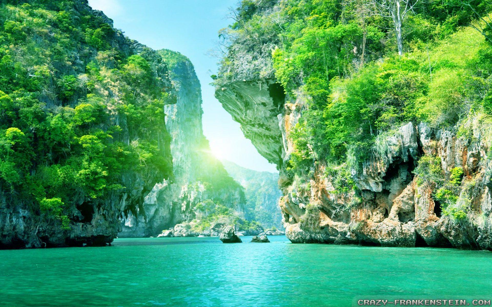 Hd Nature Wallpaper Summer Nature Picture Free Desk