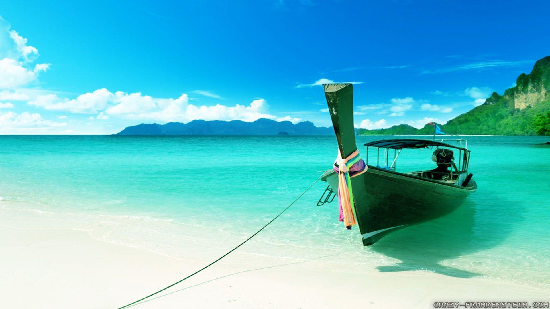 Summer Nature wallpaper