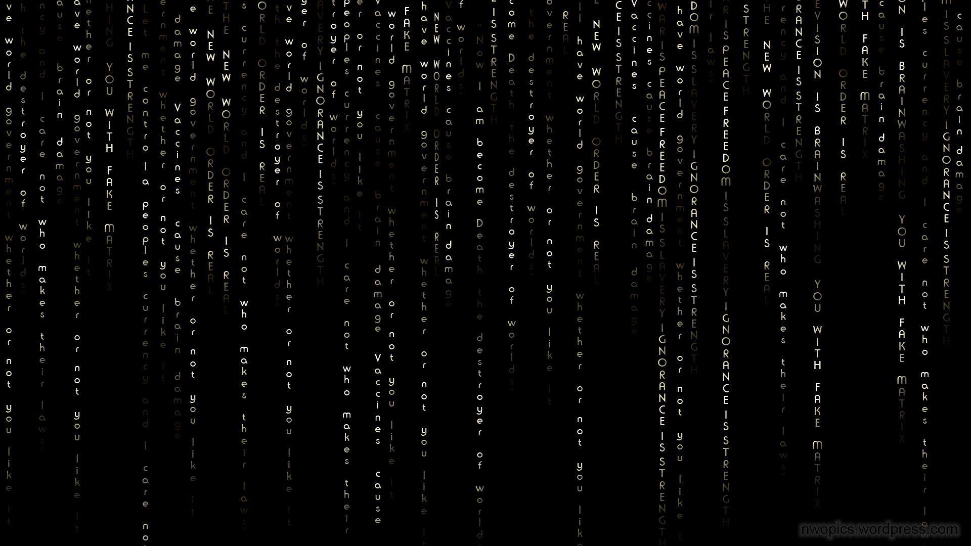 New World Order Wallpaper