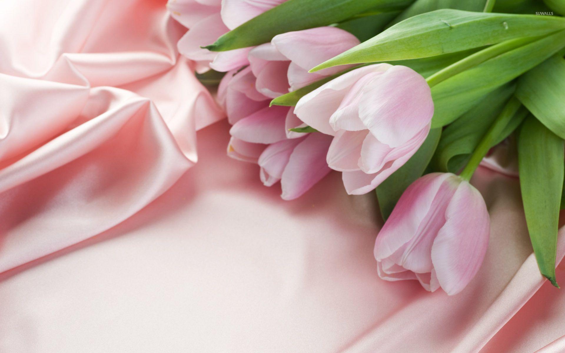 Pink Tulips wallpaper wallpaper