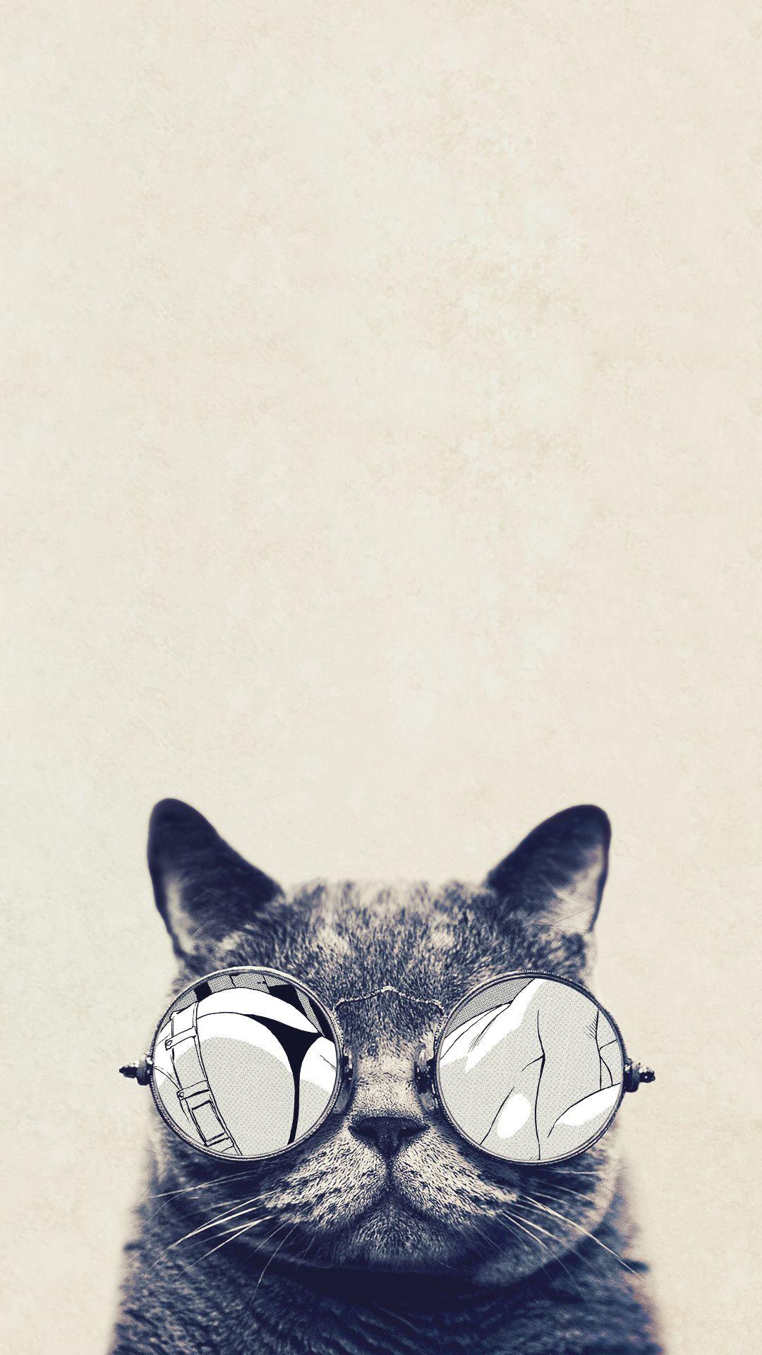 AMAZING ANIMAL IPHONE WALLPAPER FREE TO DOWNLOAD. Cat