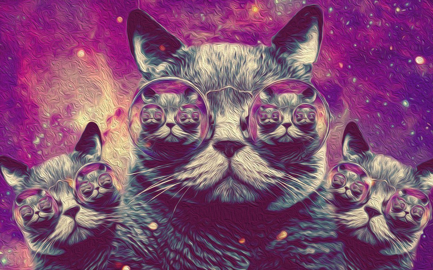 tumblr wallpaper hipster cat