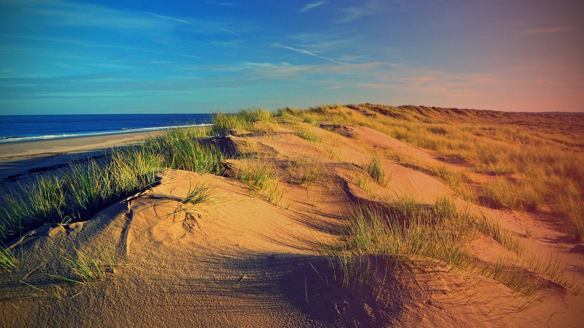 Beach dunes wallpaper. PC