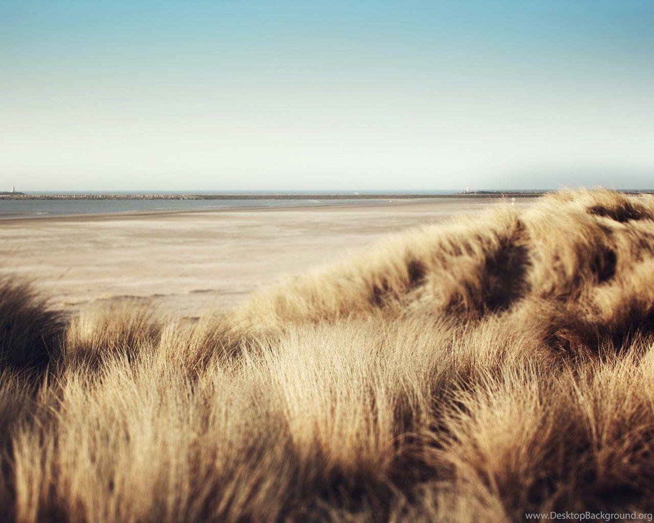 Theme Bin Blog Archive Dunes HD Wallpaper Desktop Background