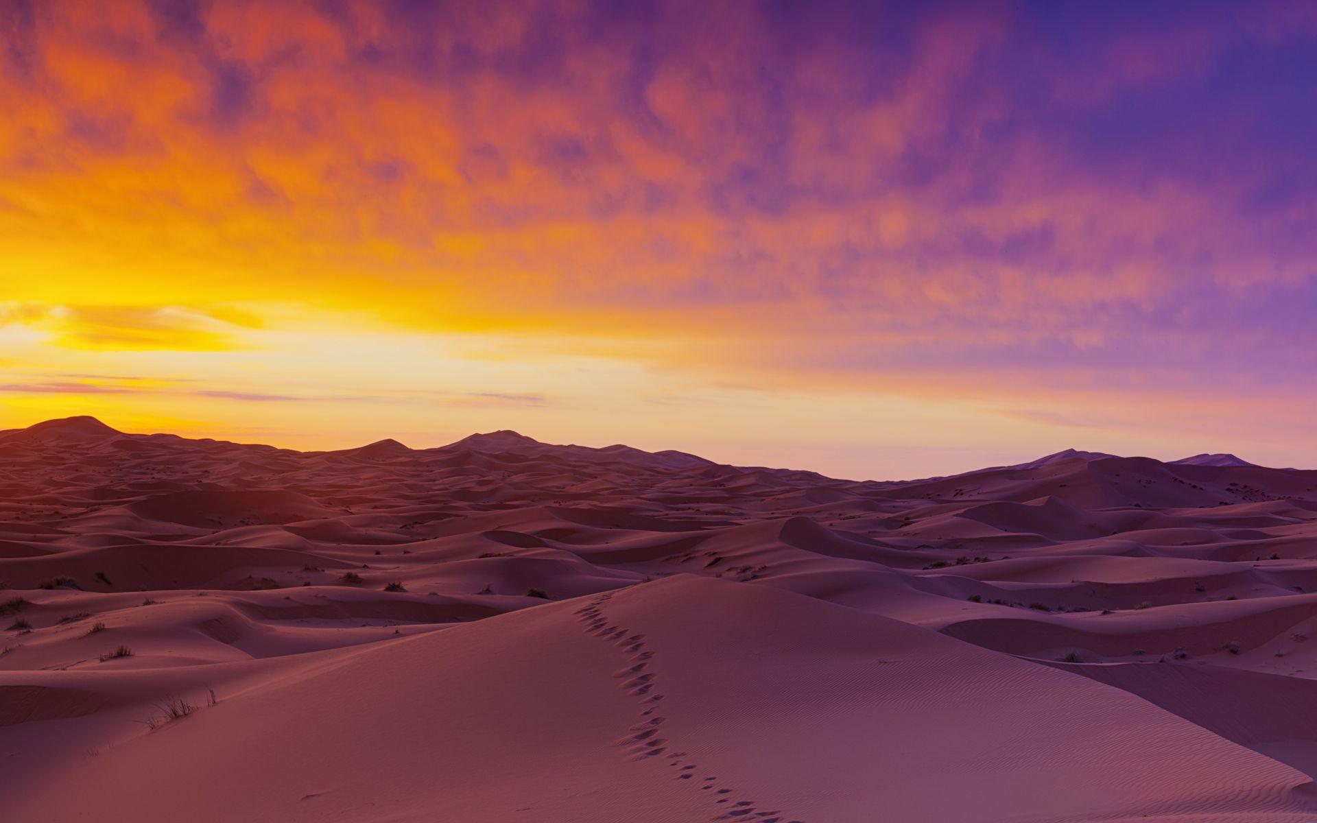 Sahara Desert Sand Dunes Wallpaper